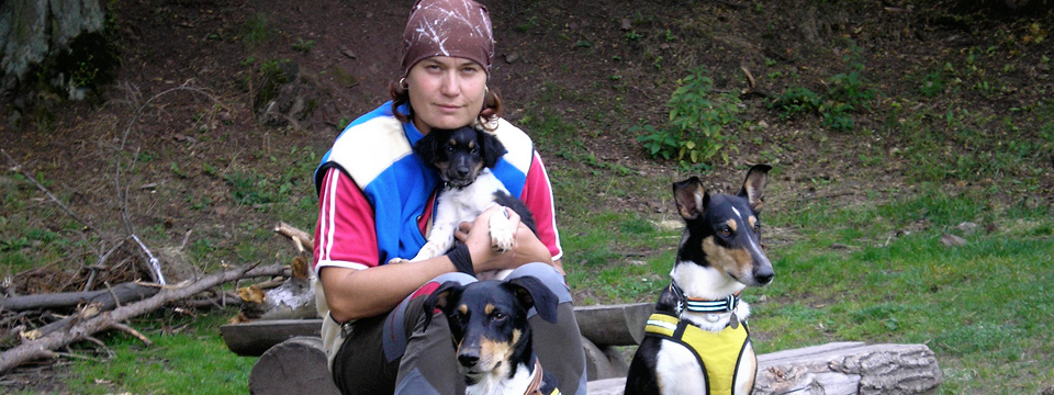 Český strakatý pes a kolie krátkosrstá