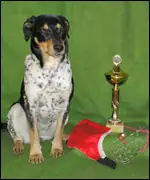 Úďa získala v nultém ročníku TOP COURSING RUNNER 2009 titul Nejlepší coursingový závodník roku 2009