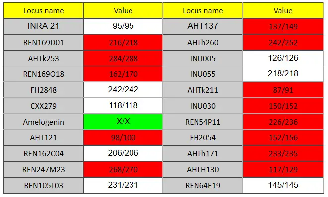 Chudobka