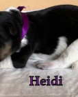 Heidi-kopie