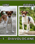 I-Diavolocane