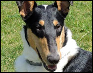 Cassiopeia Zlatíčko